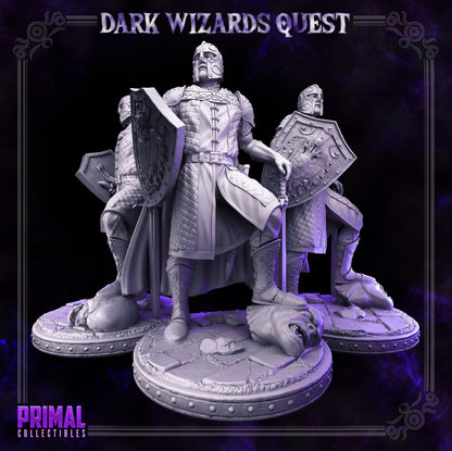 Demetrius Knight | Dark Wizards Quest | TTRPG D&D Miniature | Primal Collectibles
