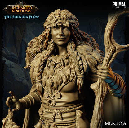 Druid Meridya | Uncharted Kingdoms | TTRPG D&D Miniature | Primal Collectibles