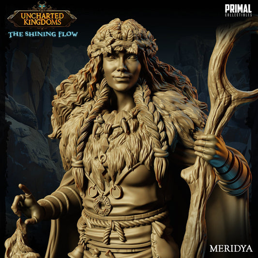 Druid Meridya | Tabletop Scale | TTRPG D&D Miniature | Primal Collectibles