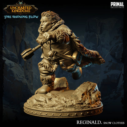 Halfling Rogue Reginald Snow Clothes | Uncharted Kingdoms | TTRPG D&D Miniature | Primal Collectibles