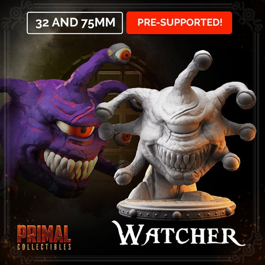 Watcher | Tabletop Scale | TTRPG D&D Miniature | Primal Collectibles