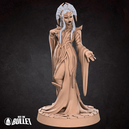 Drow Matron | TABLETOP SCALE | TTRPG Miniature | Bite the Bullet