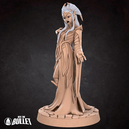 Drow Matron | TABLETOP SCALE | TTRPG Miniature | Bite the Bullet