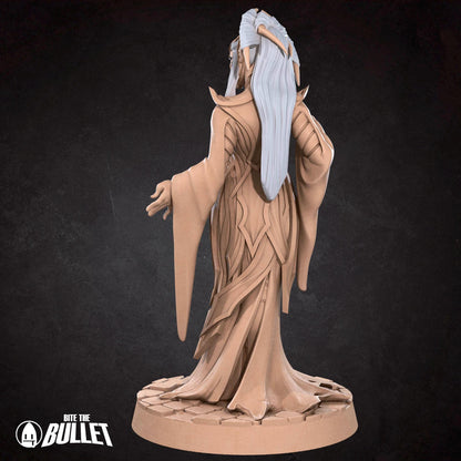 Drow Matron | TABLETOP SCALE | TTRPG Miniature | Bite the Bullet