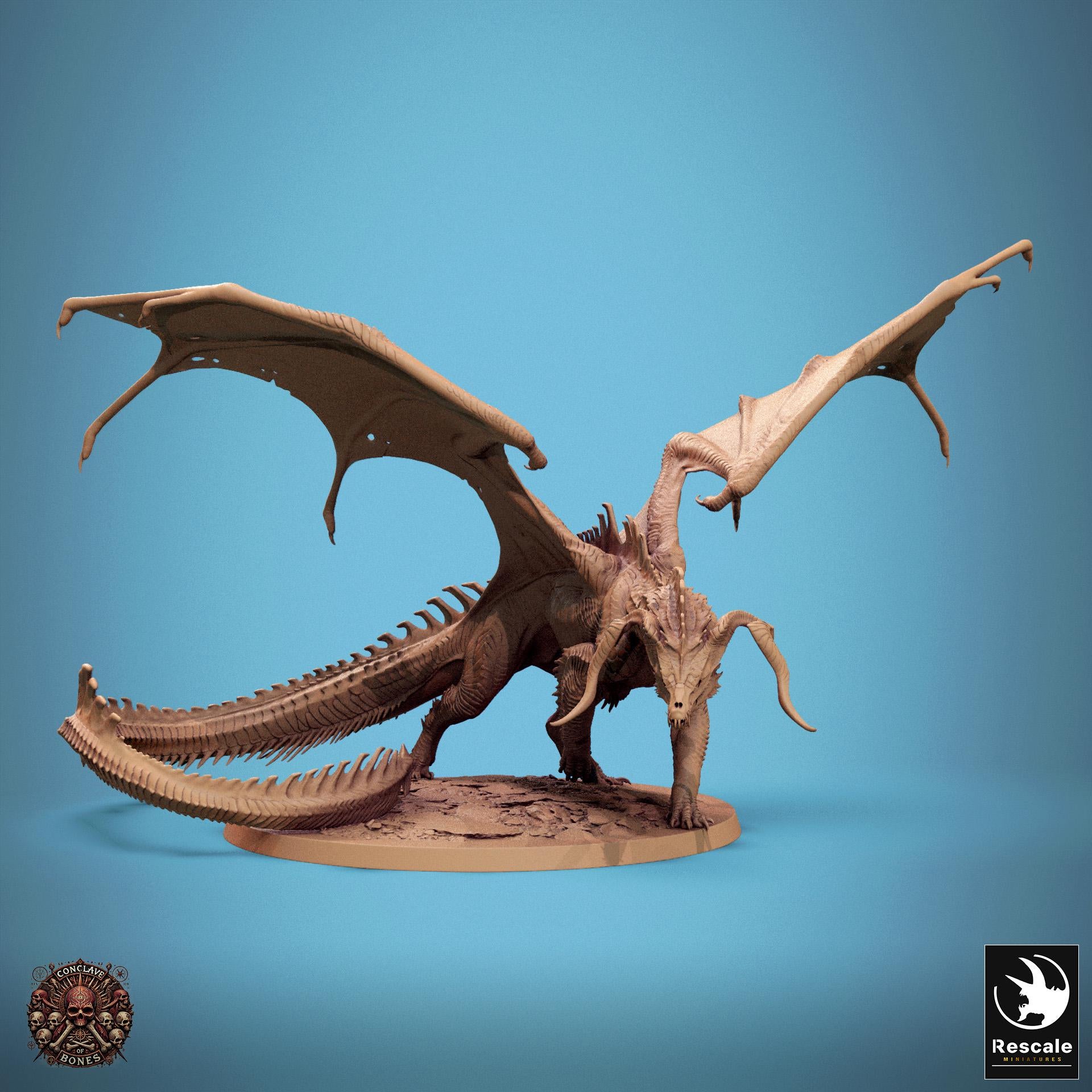 Black Dragon Pack, Chromatic Monster | TABLETOP SCALE | D&D TTRPG Dragon Miniature | Rescale Miniatures