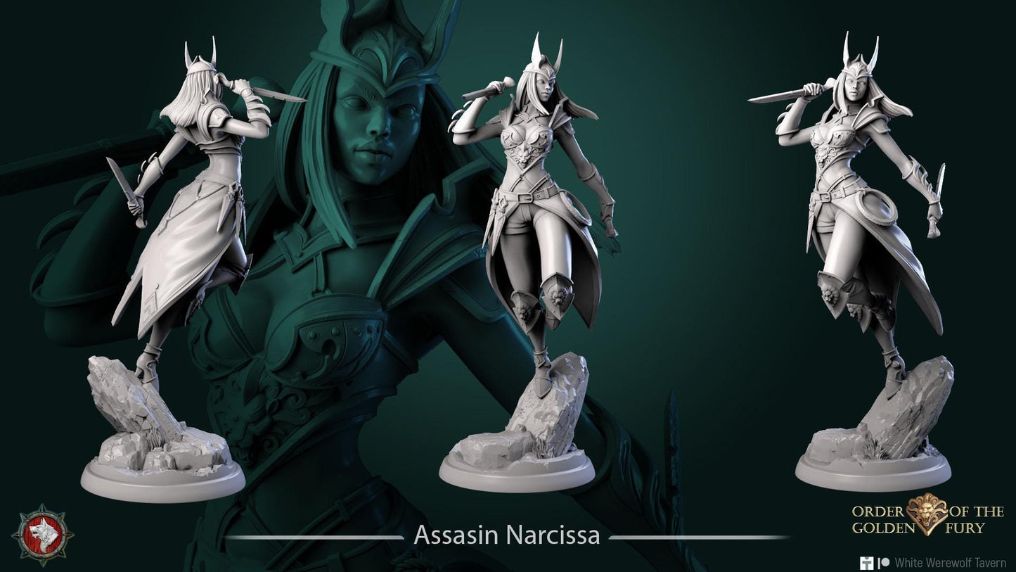 Assassin Narcissa | TABLETOP SCALE | TTRPG Miniature | White Werewolf Tavern | Unpainted, Unplated Resin 8k