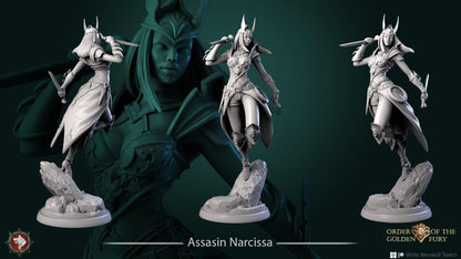Assassin Narcissa | TABLETOP SCALE | TTRPG Miniature | White Werewolf Tavern | Unpainted, Unplated Resin 8k
