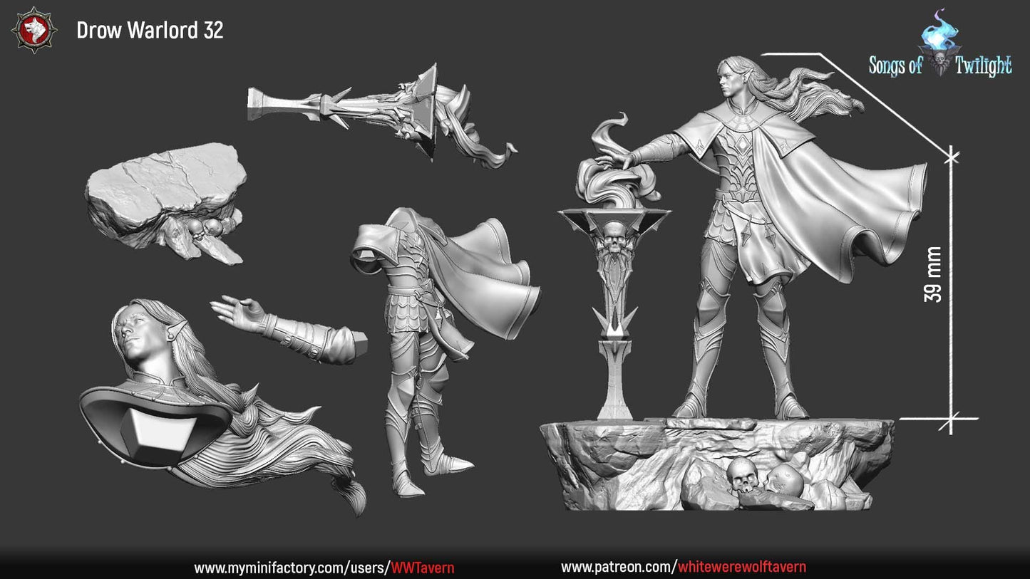Drow Warlord | TTRPG D&D Miniature | White Werewolf Tavern