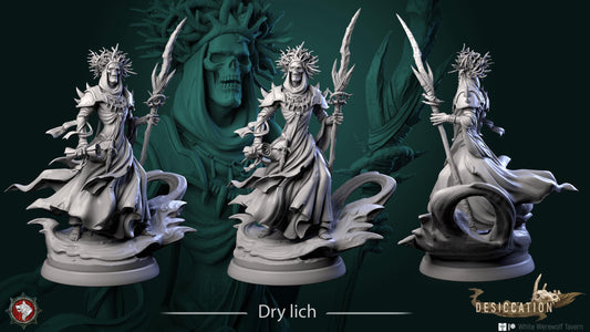 Dry Lich | TTRPG D&D Miniature | White Werewolf Tavern