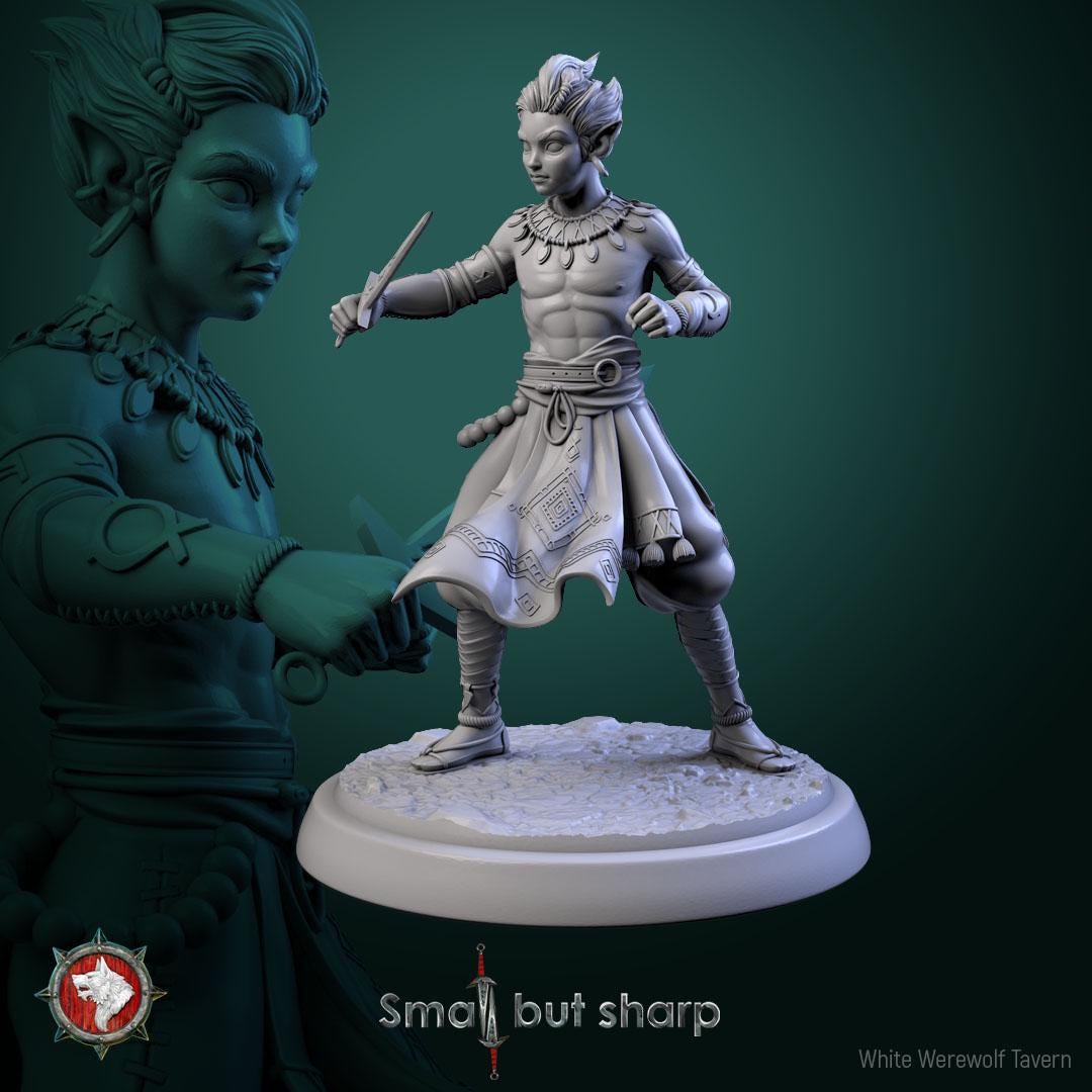 Halfling Monks | TABLETOP SCALE | TTRPG D&D Miniature | White Werewolf Tavern