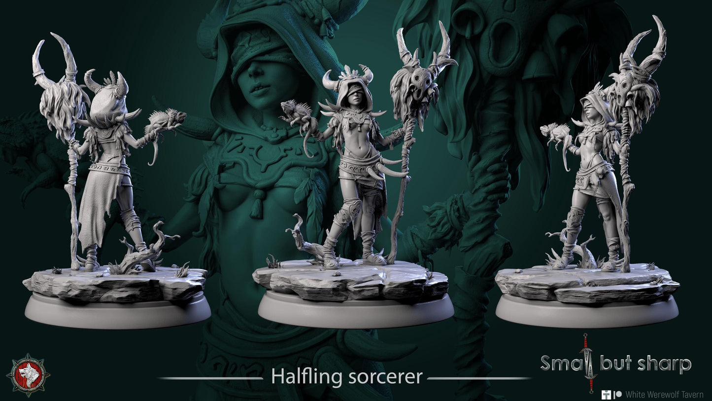 Halfling Sorcerer | TTRPG D&D Miniature | White Werewolf Tavern