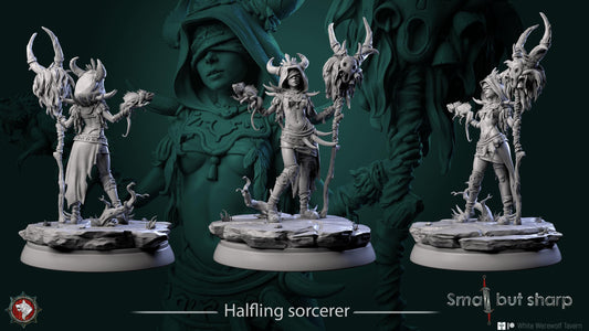 Halfling Sorcerer | TTRPG D&D Miniature | White Werewolf Tavern