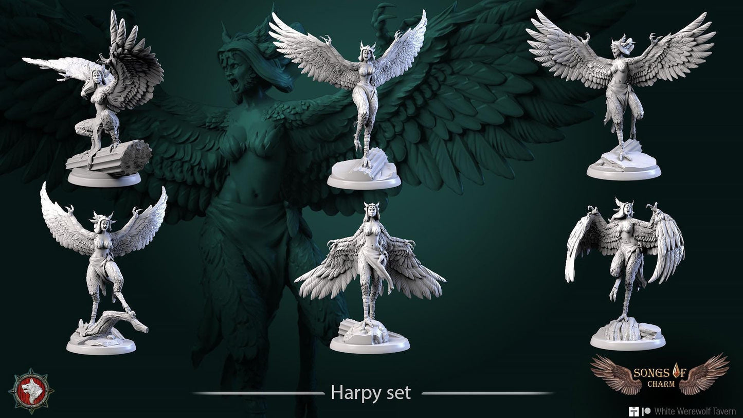 Harpies | TABLETOP SCALE | TTRPG D&D Miniature | White Werewolf Tavern
