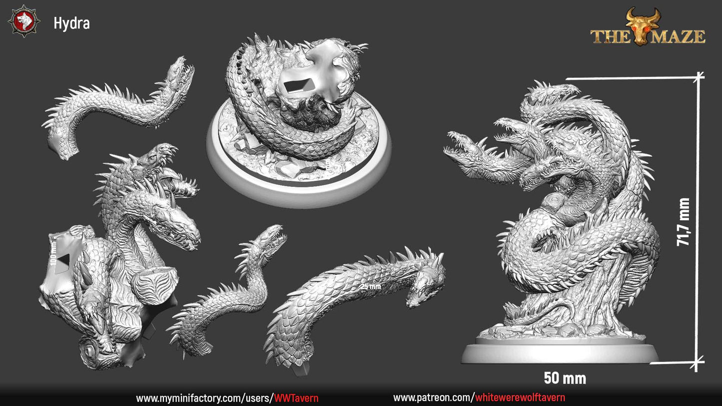 Hydra | TABLETOP SCALE | TTRPG D&D Miniature | White Werewolf Tavern