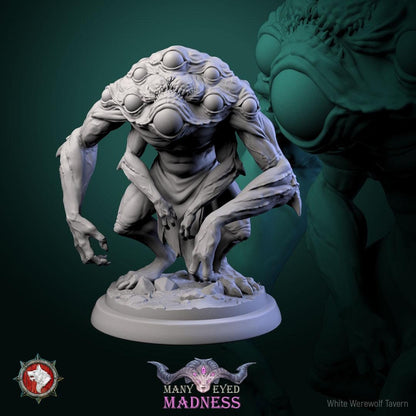 Many Eyed Monsters | TABLETOP SCALE | TTRPG D&D Miniature | White Werewolf Tavern