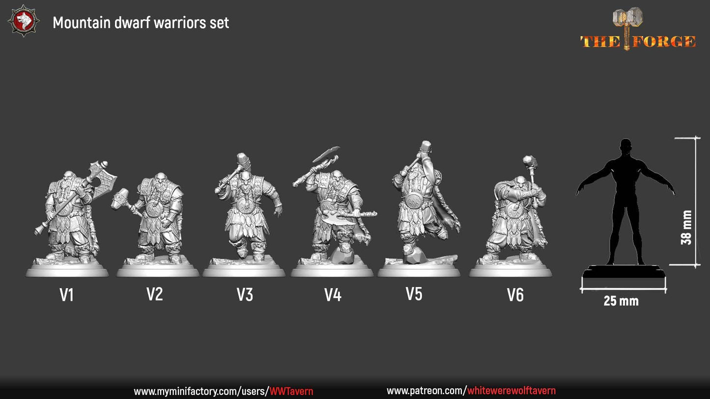 Mountain Dwarf Warriors | TABLETOP SCALE | TTRPG D&D Miniature | White Werewolf Tavern