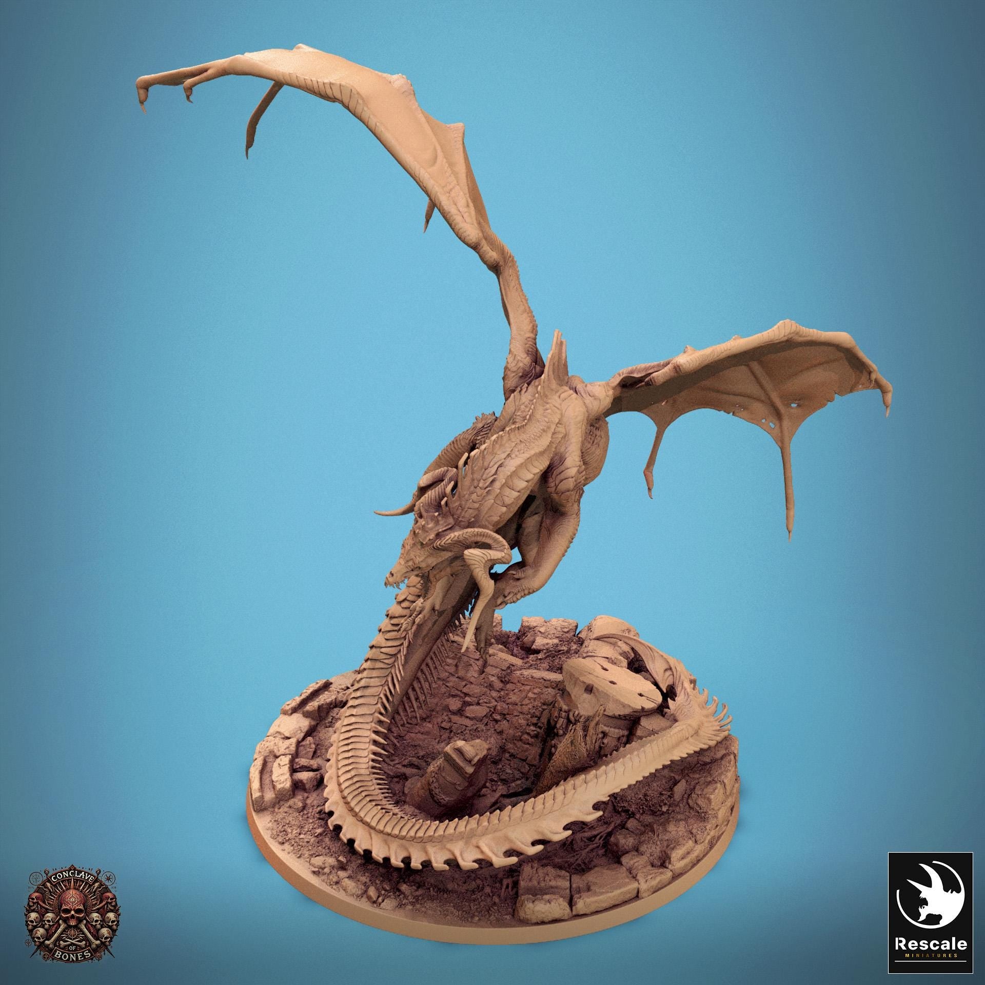 Black Dragon Pack, Chromatic Monster | TABLETOP SCALE | D&D TTRPG Dragon Miniature | Rescale Miniatures