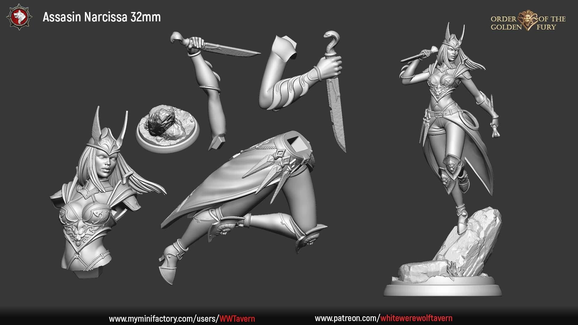 Assassin Narcissa | TABLETOP SCALE | TTRPG Miniature | White Werewolf Tavern | Unpainted, Unplated Resin 8k