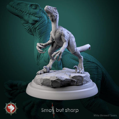 Halfings Dino Mounts | TABLETOP SCALE | TTRPG D&D Miniature | White Werewolf Tavern