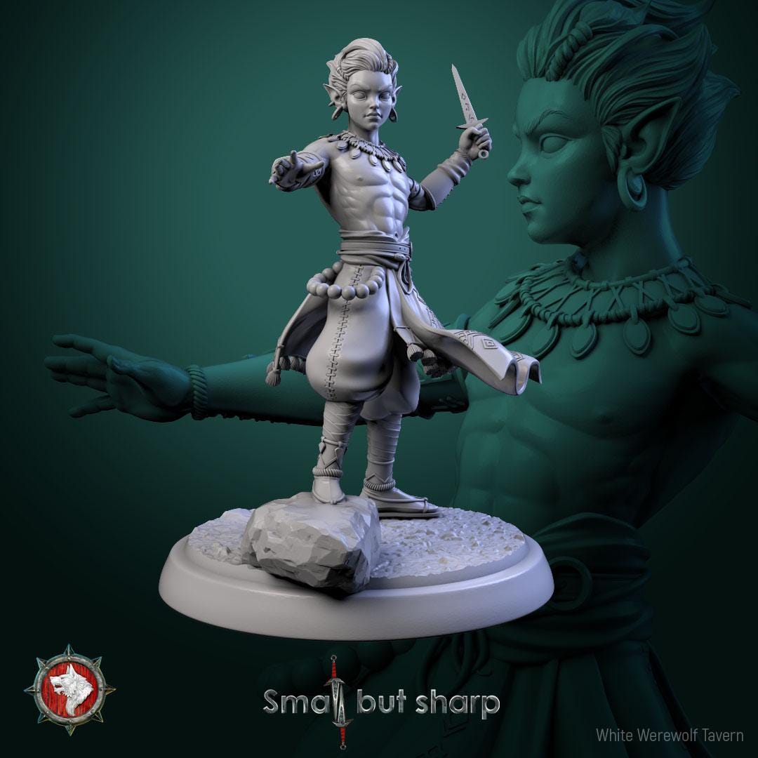 Halfling Monks | TABLETOP SCALE | TTRPG D&D Miniature | White Werewolf Tavern