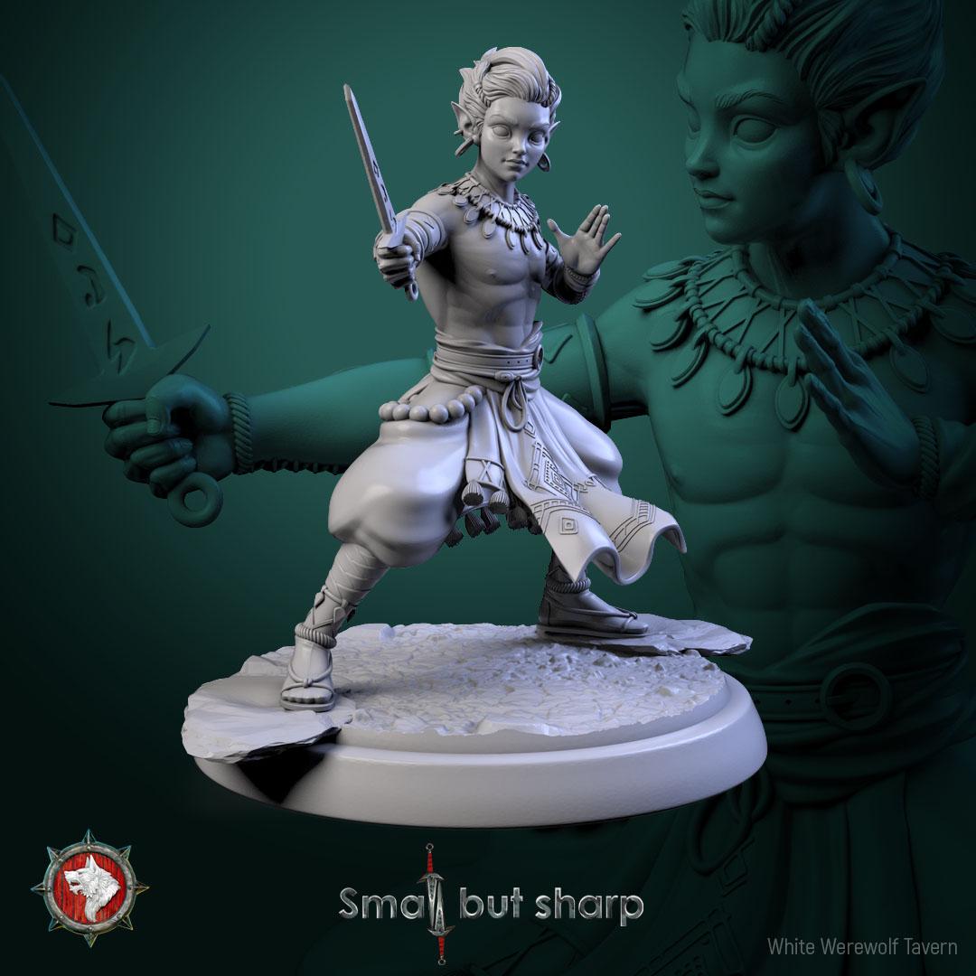 Halfling Monks | TABLETOP SCALE | TTRPG D&D Miniature | White Werewolf Tavern