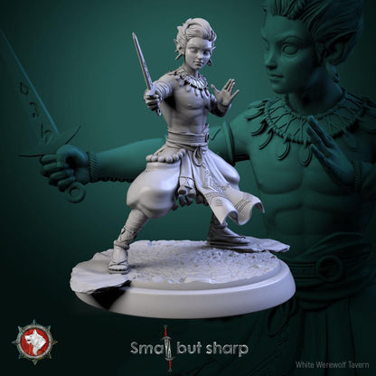 Halfling Monks | TABLETOP SCALE | TTRPG D&D Miniature | White Werewolf Tavern