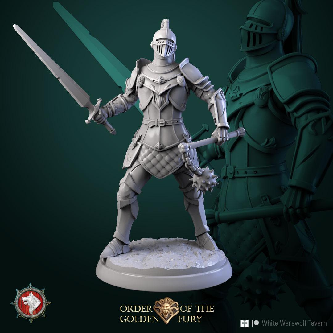 Knights | TABLETOP SCALE | TTRPG D&D Miniature | White Werewolf Tavern