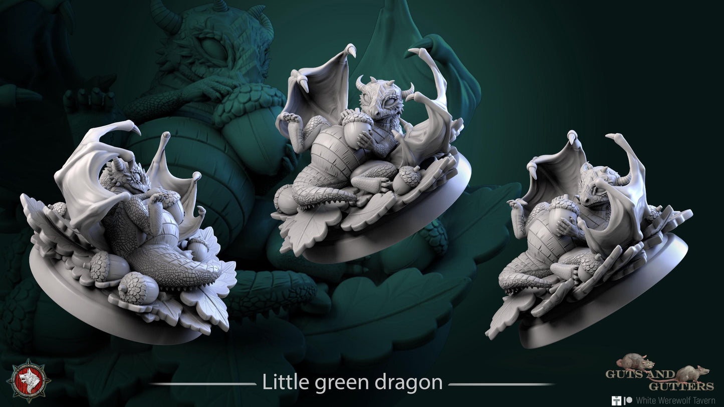 Little Green Dragon | TABLETOP SCALE | TTRPG D&D Miniature | White Werewolf Tavern