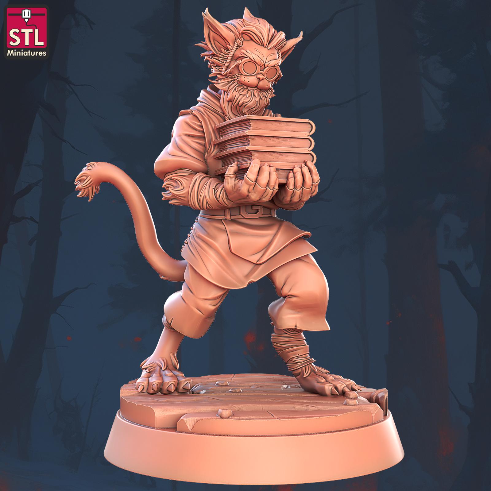 Book and Tomes NPC Set | Tabletop Scale | D&D TTRPG Miniature | STL Miniatures