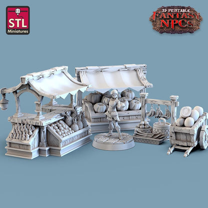 Fruit Seller Vendor NPC Set | Tabletop Scale | D&D TTRPG Miniature | STL Miniatures