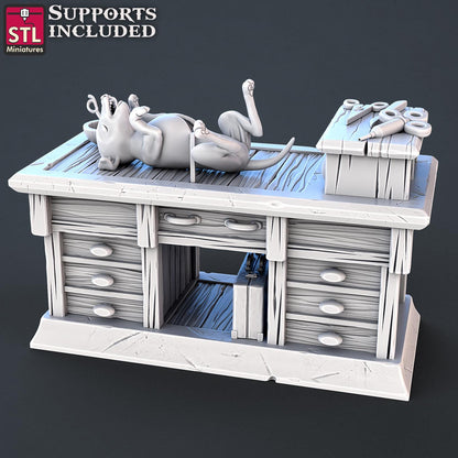 Veterinarian NPC Set | Tabletop Scale | D&D TTRPG Miniature | STL Miniatures