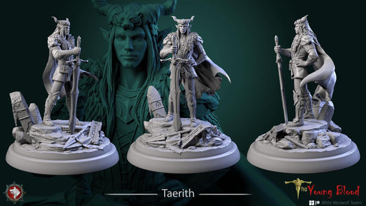 Taerith, Elf Monster Hunter, Barbarian | TABLETOP SCALE | TTRPG Miniature | White Werewolf Tavern | Unpainted, Unplated Resin 8k