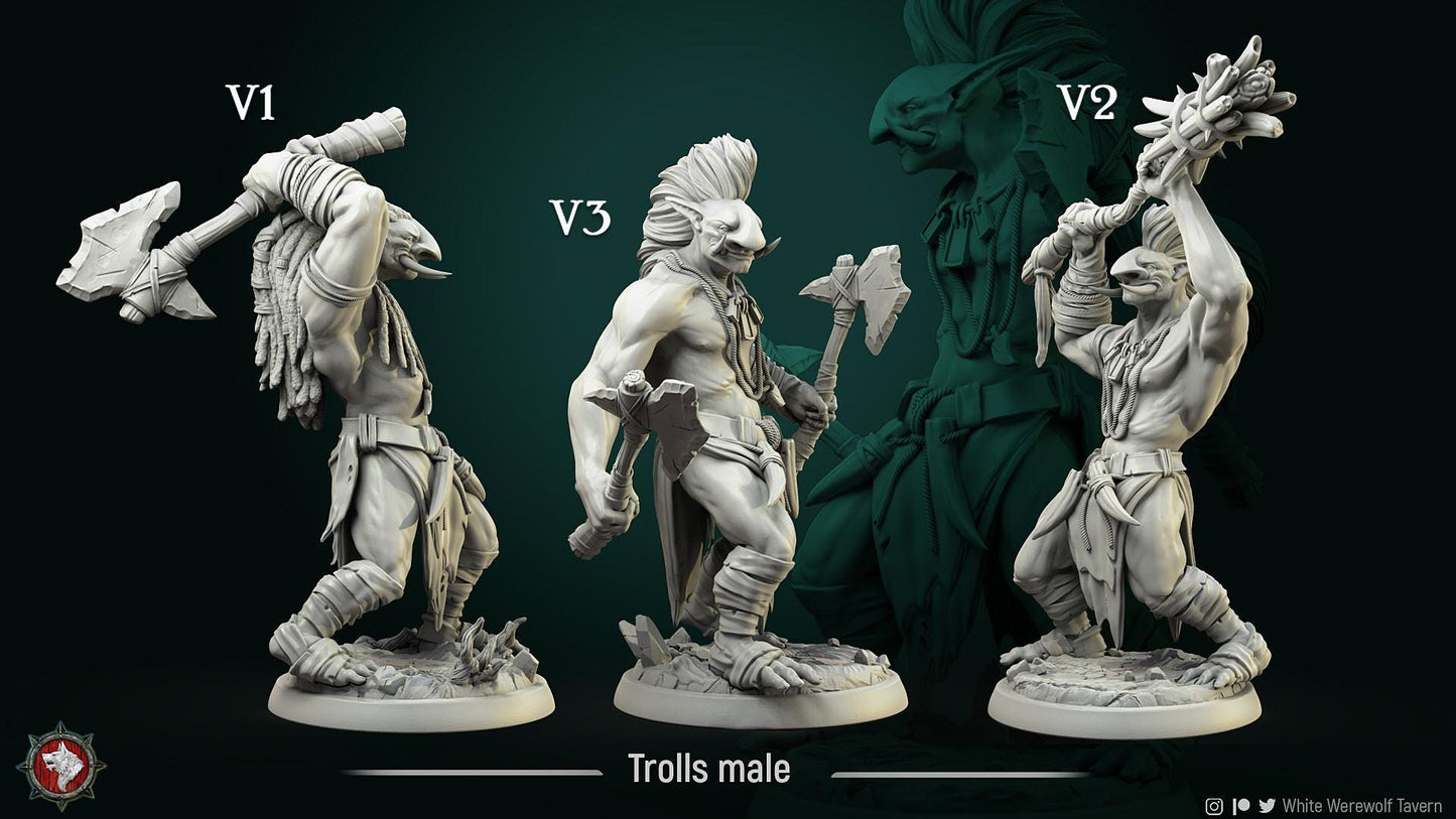 Troll Boys | TABLETOP SCALE | TTRPG Miniature | White Werewolf Tavern