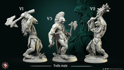 Troll Boys | TABLETOP SCALE | TTRPG Miniature | White Werewolf Tavern