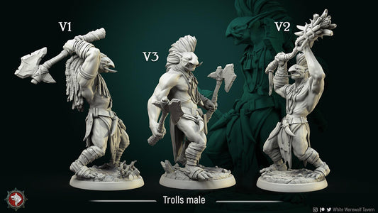 Troll Boys | TABLETOP SCALE | TTRPG Miniature | White Werewolf Tavern