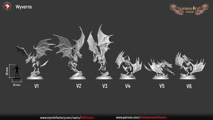 Wyverns | TABLETOP SCALE | TTRPG Miniature | White Werewolf Tavern