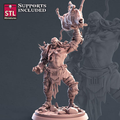 Giant NPC Set | Tabletop Scale | D&D TTRPG Miniature | STL Miniatures