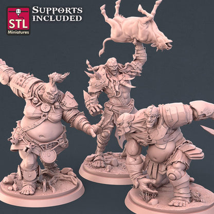 Giant NPC Set | Tabletop Scale | D&D TTRPG Miniature | STL Miniatures