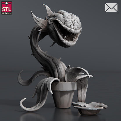 Newsletter Herbalist NPC Set | Tabletop Scale | D&D TTRPG Miniature | STL Miniatures