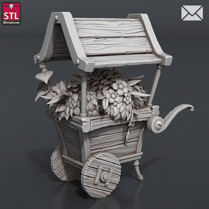 Newsletter Herbalist NPC Set | Tabletop Scale | D&D TTRPG Miniature | STL Miniatures