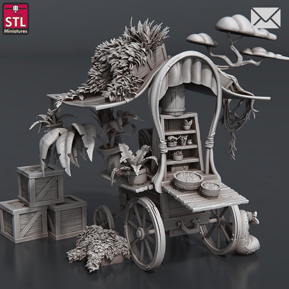 Newsletter Herbalist NPC Set | Tabletop Scale | D&D TTRPG Miniature | STL Miniatures