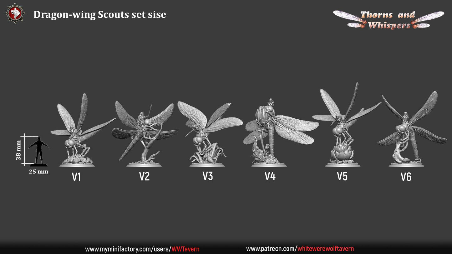 Dragon-Wing Scouts, Fairy Dragonfly Mounts | TTRPG Tabletop Gaming Miniature | White Werewolf Tavern | Thorns and Whispers Set