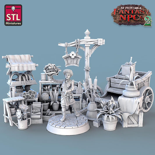 Florist NPC Set | Tabletop Scale | D&D TTRPG Miniature | STL Miniatures