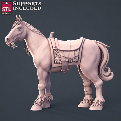 Horse Trainer NPC Set | Tabletop Scale | D&D TTRPG Miniature | STL Miniatures