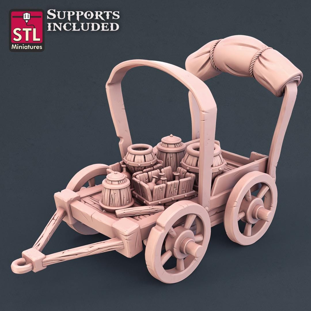 Potion Vendor Seller NPC Set | Tabletop Scale | D&D TTRPG Miniature | STL Miniatures