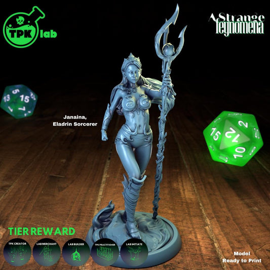 Triton Seafolk Eladrin Elf Sorcerer, Ieman & Janaina | Tabletop Gaming Miniature | TPKLab