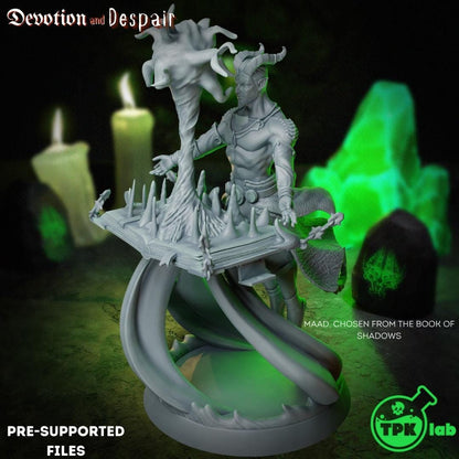Chosen of the Book of Shadows, Maad, Thilli | Tabletop Gaming Miniature | TPKLab