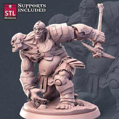 Giant NPC Set | Tabletop Scale | D&D TTRPG Miniature | STL Miniatures