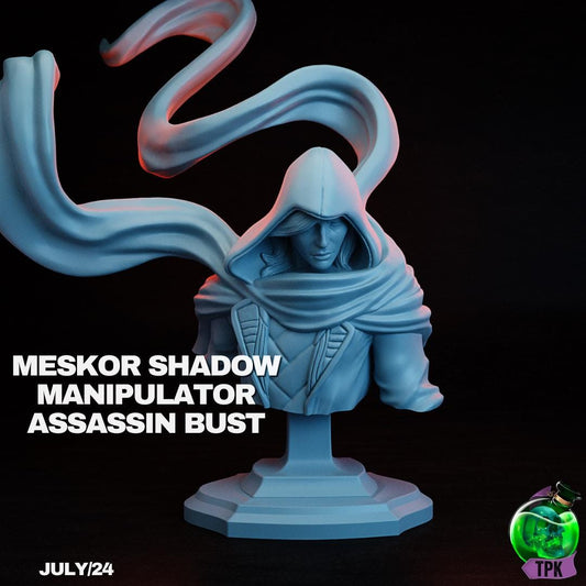 Meskor, Shadow Manipulator Assassin, Mistborn | Tabletop Gaming Miniature or Bust | TPKLab
