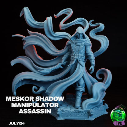 Meskor, Shadow Manipulator Assassin, Mistborn | Tabletop Gaming Miniature or Bust | TPKLab